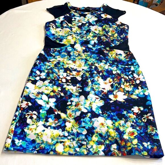 Worthington Abstract Floral Print Mesh Cap Sleeves Sheath Dress Sz 12 - Picture 7 of 15
